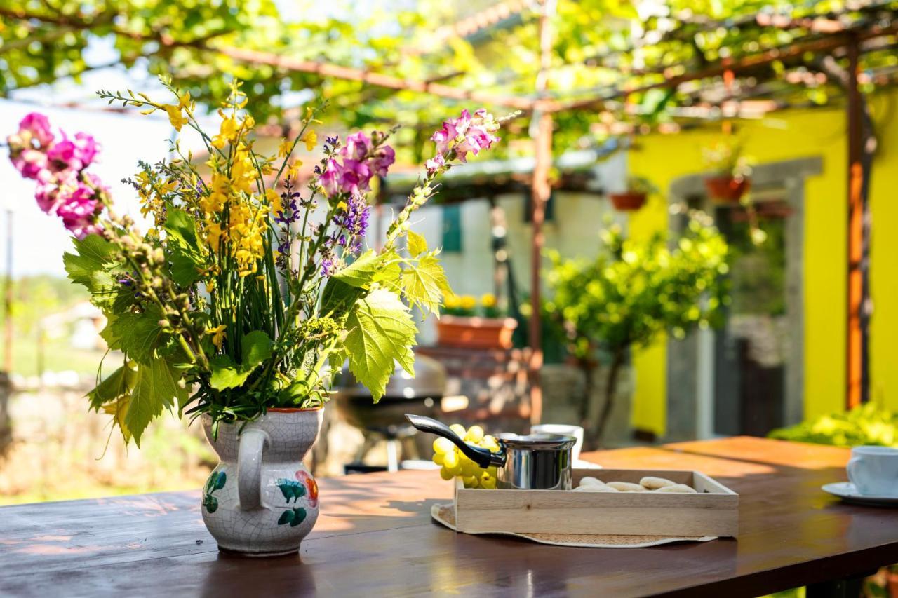 Holiday House Nono Labin  Dış mekan fotoğraf