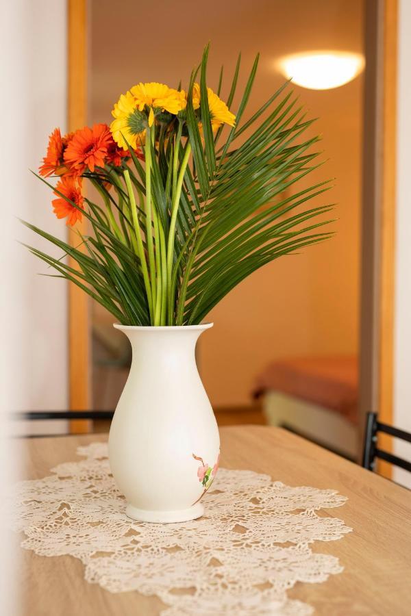 Holiday House Nono Labin  Dış mekan fotoğraf