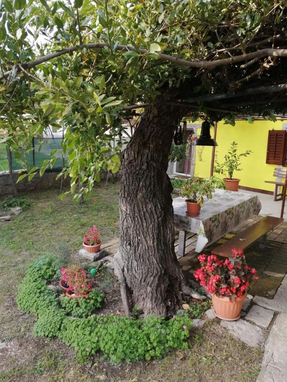 Holiday House Nono Labin  Dış mekan fotoğraf